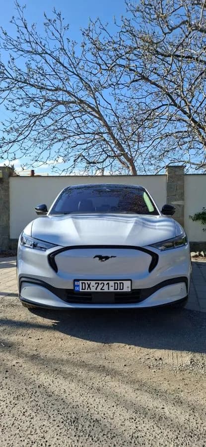 Ford Mustang Mach-E 2022 купить в Москве